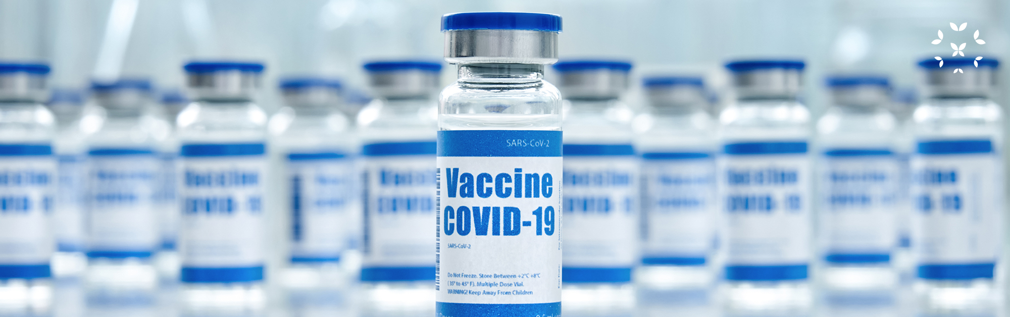 A Brief Overview of Lupus and the COVID-19 Vaccine ...