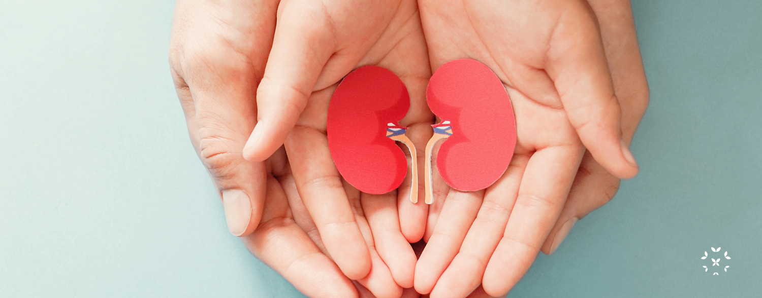 Kidneys in hands 2040 Kaleidoscope Fighting Lupus