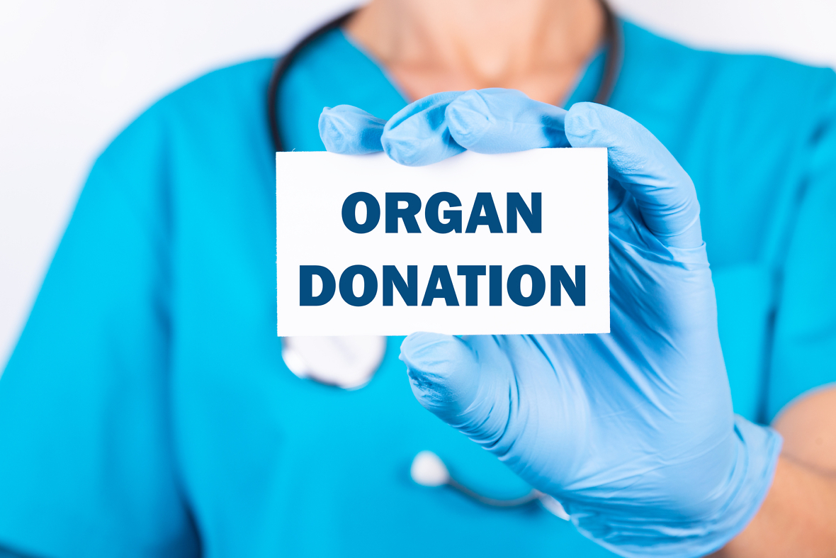 Doctor holding a card with text Organ donation medical concept